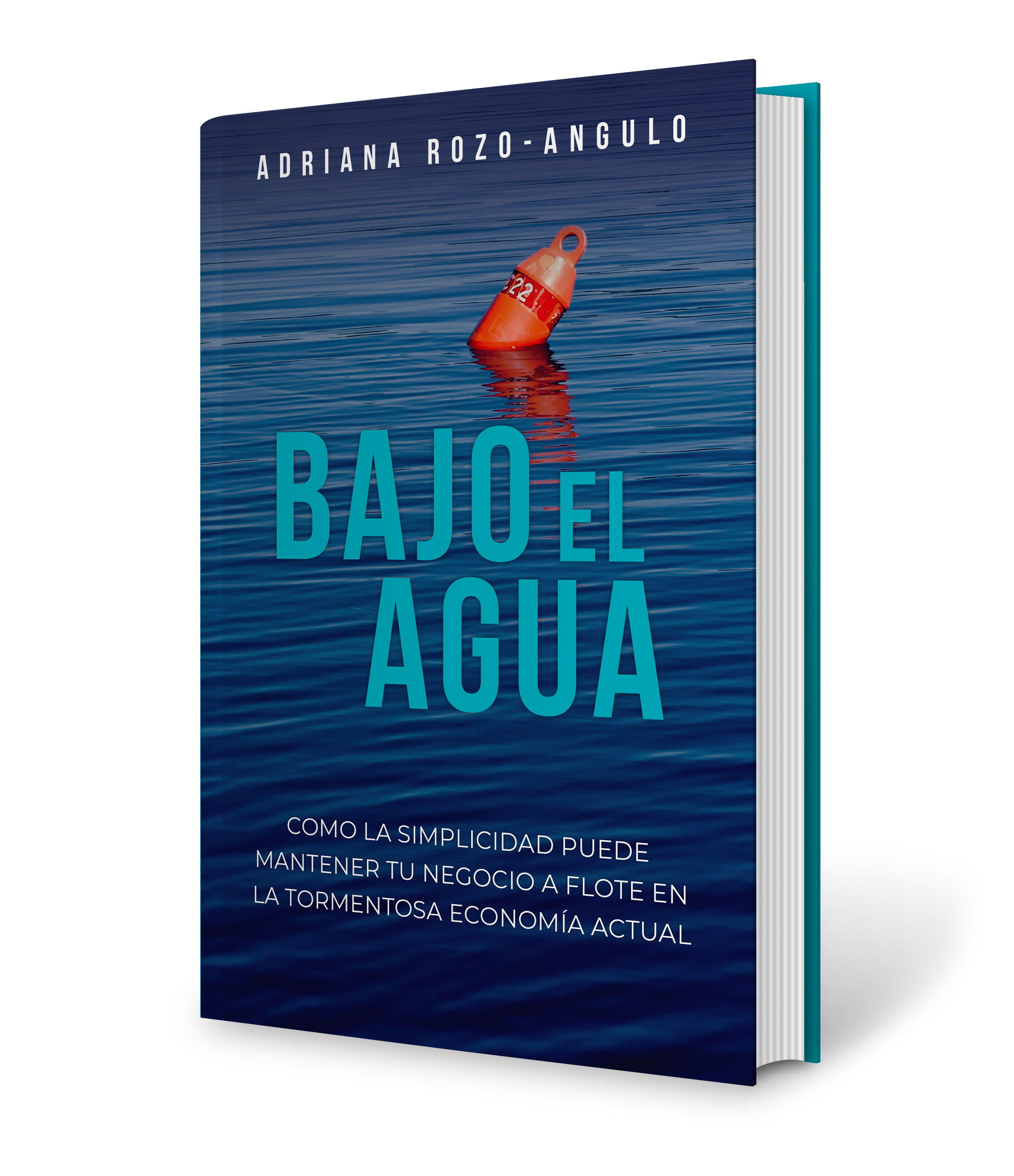 Libro Bajo el Agua
